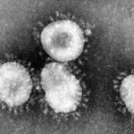 coronavirus